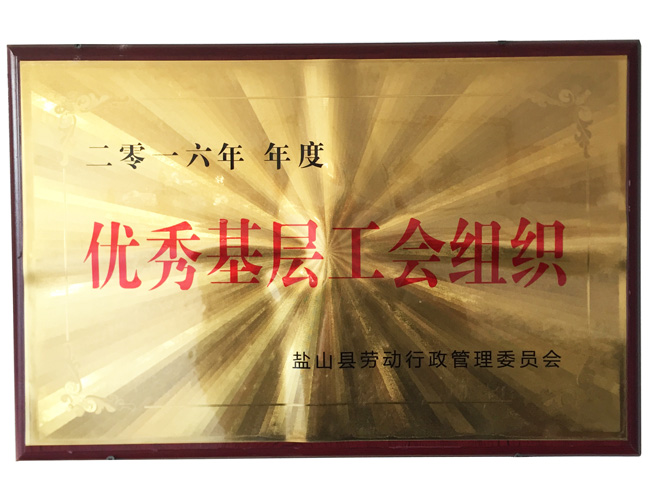优秀基层工会组织